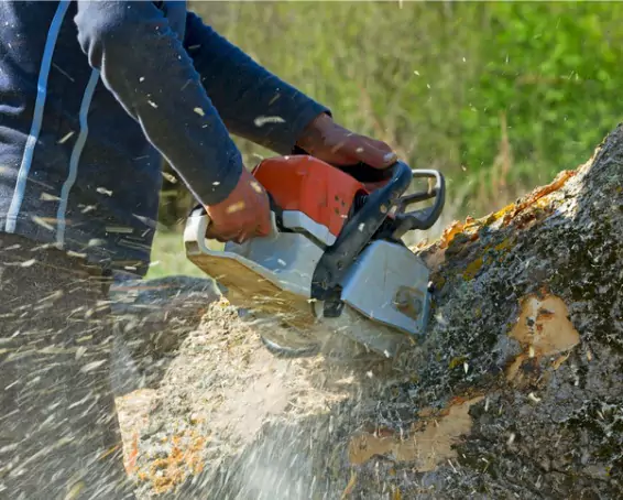 A specialist with Tree View Outdoor Services using a chainsaw to cut up a tree that has fallen